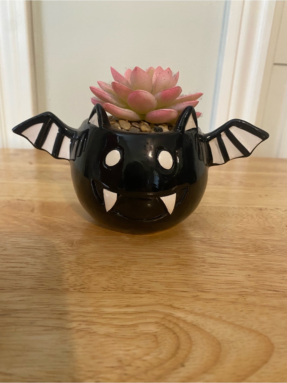 Cute Bat Planter with Succulent - Halloween Decor